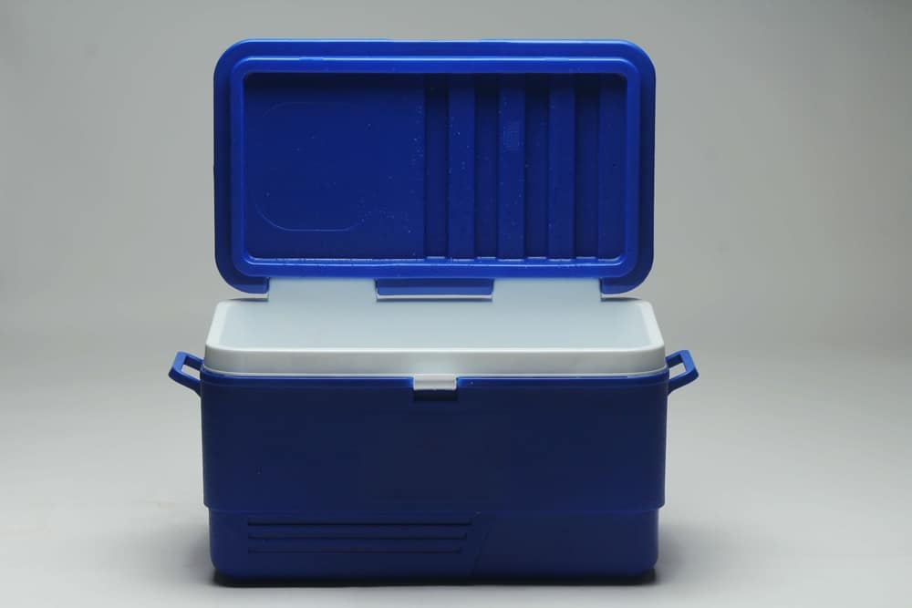 Blaue geöffnete Kühlbox ohne Inhalt vor grauem Hintergrund