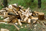 Warum Brennholz nicht schlecht für das Klima ist