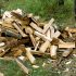 Brennholz sammeln für das Lagerfeuer – erlaubt oder nicht?