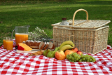 Sommerzeit ist Picknickzeit: So bleiben Lebensmittel lange frisch!