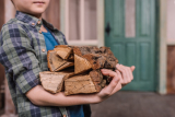 Brennholz sammeln für das Lagerfeuer – erlaubt oder nicht?